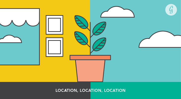 Everything You Need to Know Before Starting a Garden: Location, Location, Location
