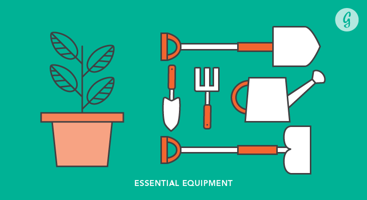 Everything You Need to Know Before Starting a Garden: Essential Equipment