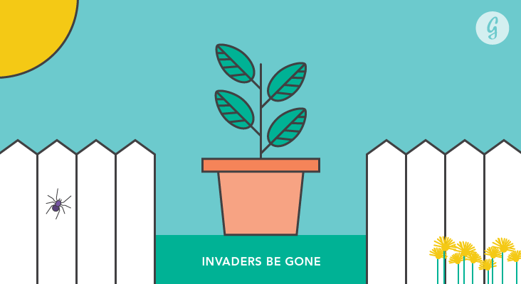 Invaders Be Gone