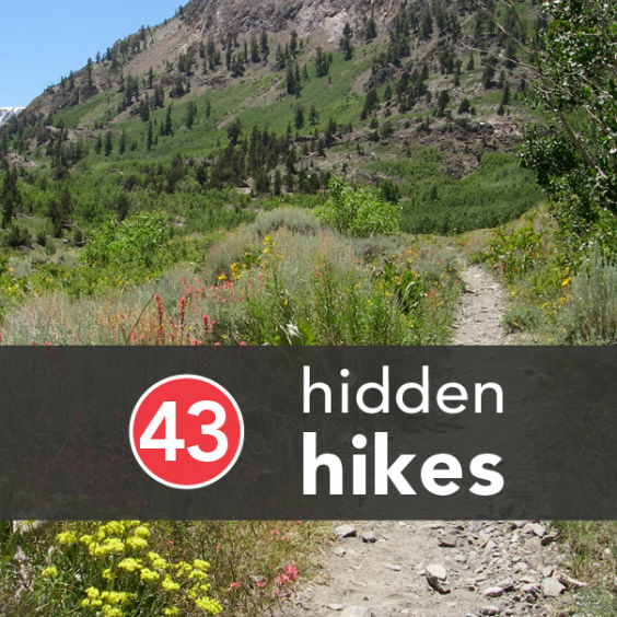 Hidden Hikes