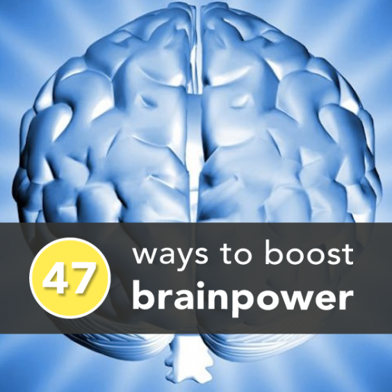 Brainpower Banner