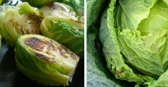 Cabbage and Brussels Sprouts
