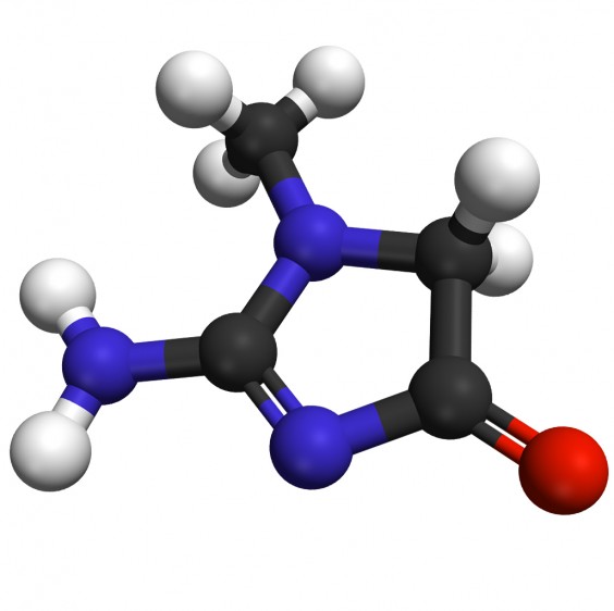 Molecular structure of Creatine monohydrate