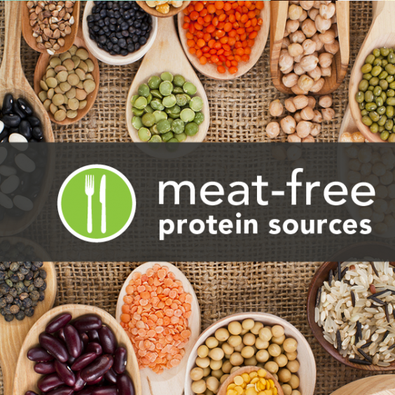 7 Meat-Free Protein Sources