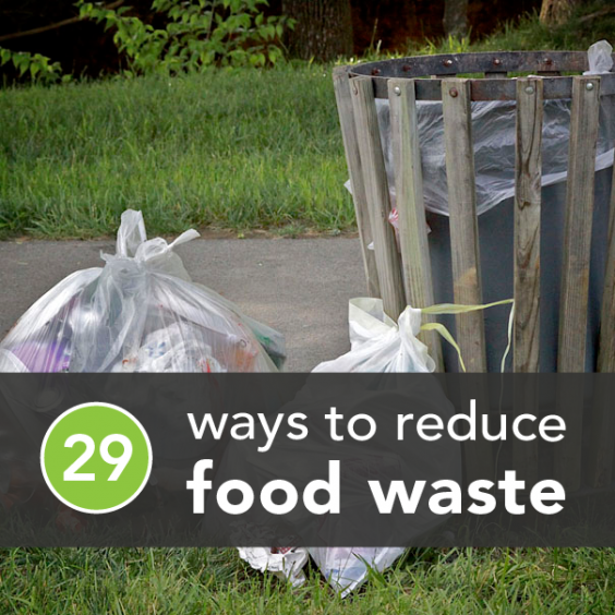 Buy essay online cheap food waste