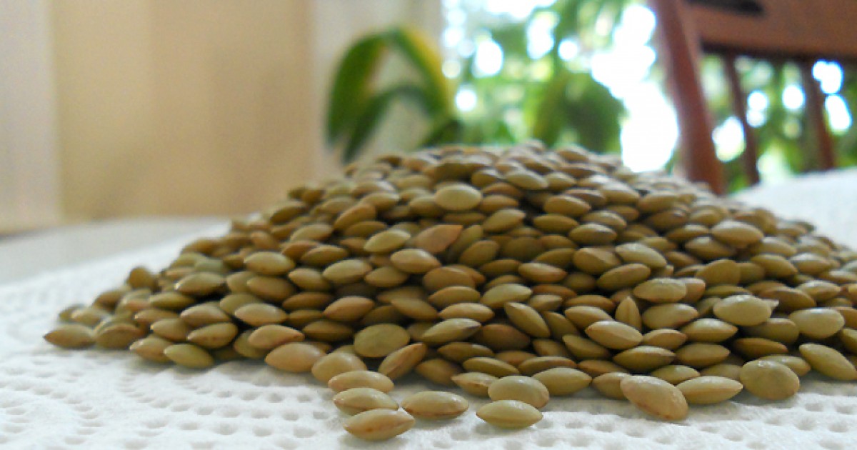 Are lentils vegetables or grains?