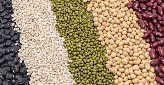 Surprising Sources of Calcium: White Beans