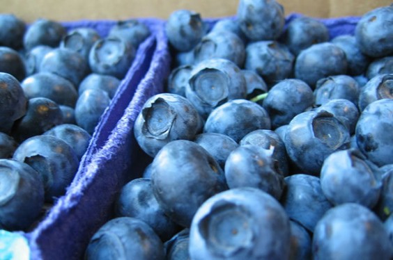 Blueberries_604_0.jpg?itok=3I4kCOvm