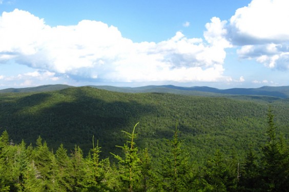 Green Mountains National Forest