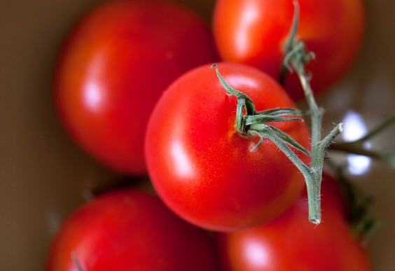 Tomatos 1800 - HET BESTE EN SLECHTSTE VOEDSEL VOOR GEZONDE TANDEN