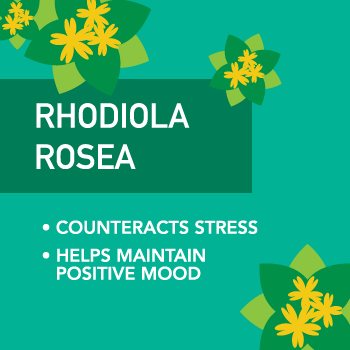 Rhodiola Rosea